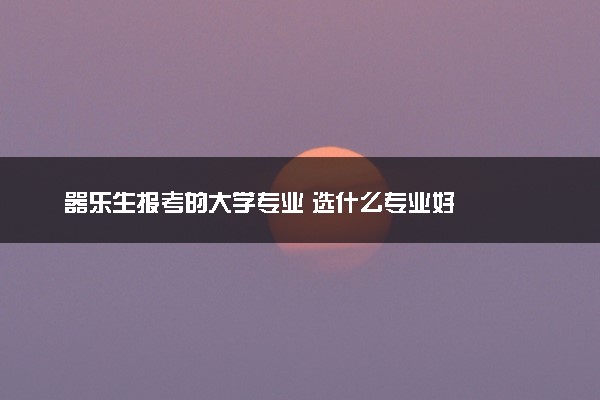 器乐生报考的大学专业 选什么专业好