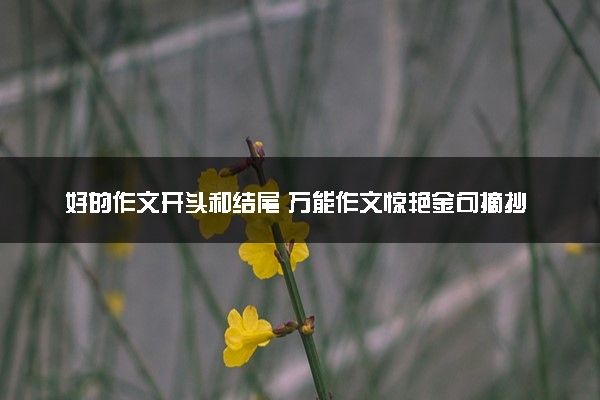 好的作文开头和结尾 万能作文惊艳金句摘抄