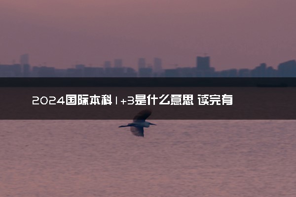 2024国际本科1+3是什么意思 读完有什么用