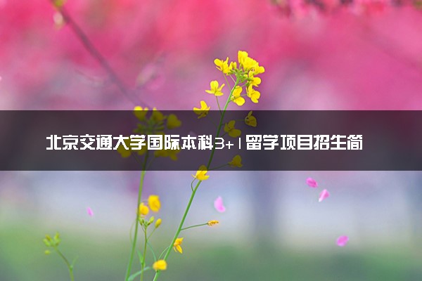 北京交通大学国际本科3+1留学项目招生简章