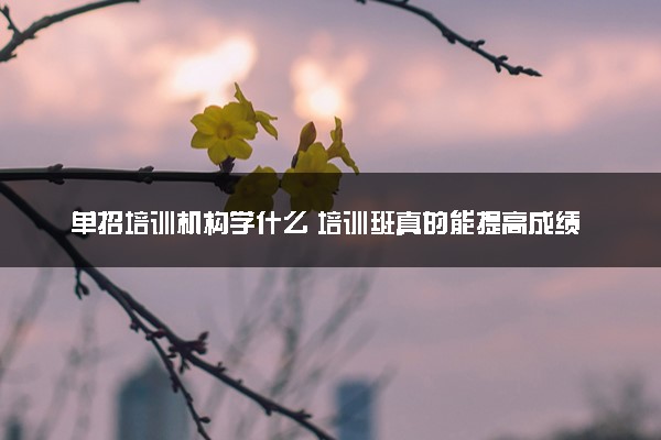 单招培训机构学什么 培训班真的能提高成绩吗