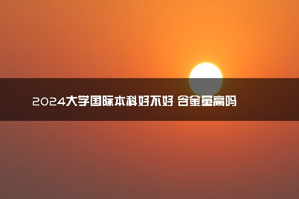 2024大学国际本科好不好 含金量高吗