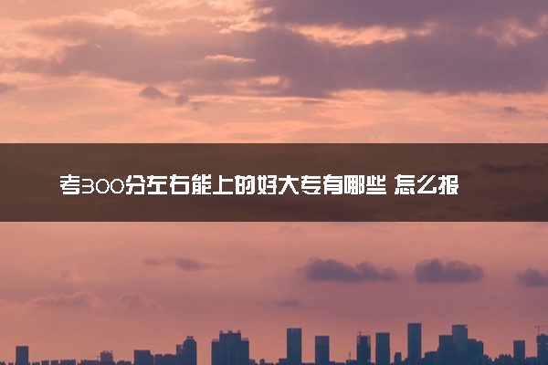 考300分左右能上的好大专有哪些 怎么报考院校