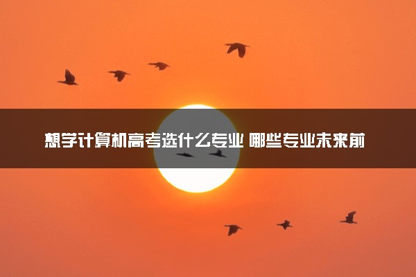 想学计算机高考选什么专业 哪些专业未来前景好