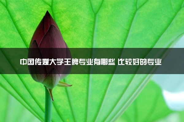 中国传媒大学王牌专业有哪些 比较好的专业推荐