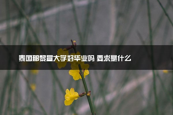 泰国那黎宣大学好毕业吗 要求是什么