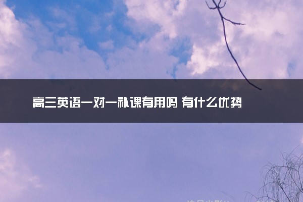 高三英语一对一补课有用吗 有什么优势