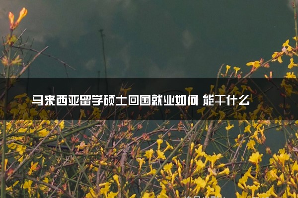 马来西亚留学硕士回国就业如何 能干什么