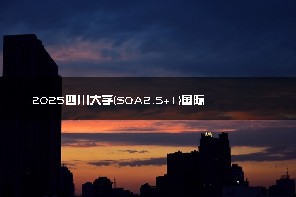 2025四川大学(SQA2.5+1)国际本科春季班招生专业