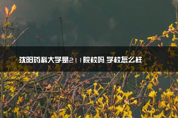 沈阳药科大学是211院校吗 学校怎么样