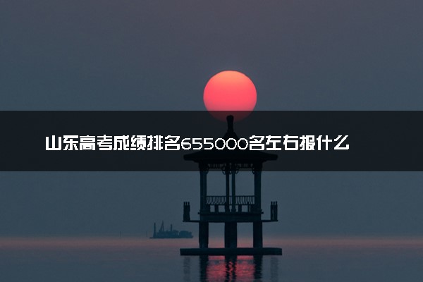 山东高考成绩排名655000名左右报什么大学好（2025年参考）