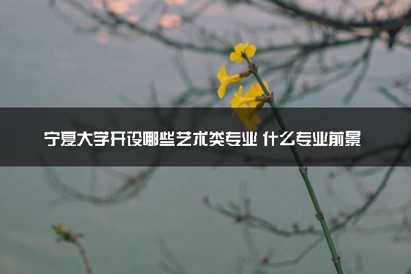 宁夏大学开设哪些艺术类专业 什么专业前景好