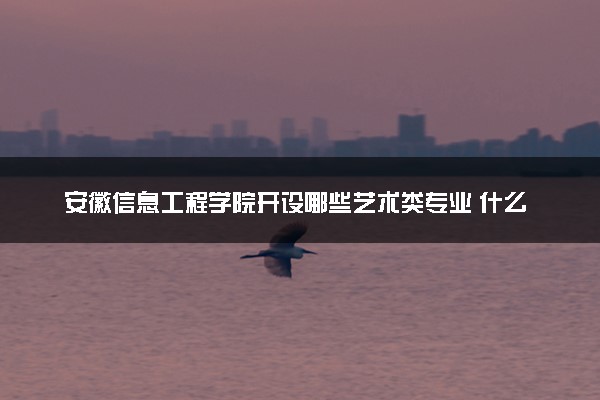 安徽信息工程学院开设哪些艺术类专业 什么专业前景好