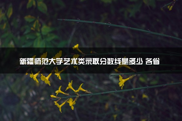 新疆师范大学艺术类录取分数线是多少 各省分数整理