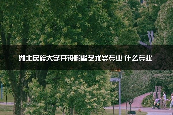 湖北民族大学开设哪些艺术类专业 什么专业前景好