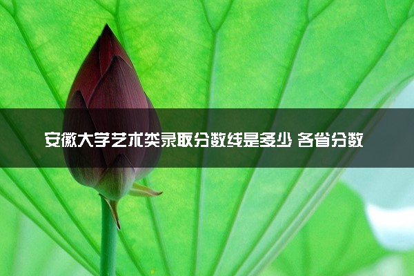 安徽大学艺术类录取分数线是多少 各省分数整理