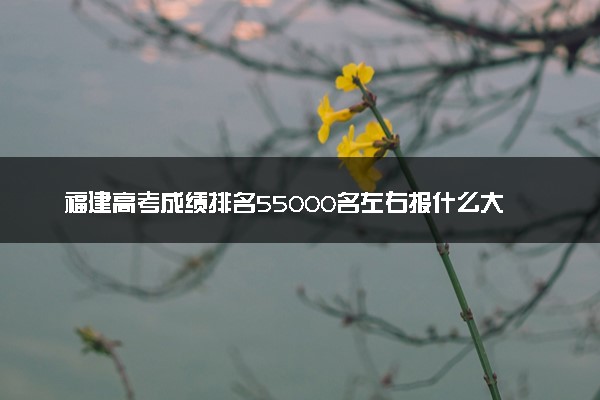 福建高考成绩排名55000名左右报什么大学好（2025年参考）