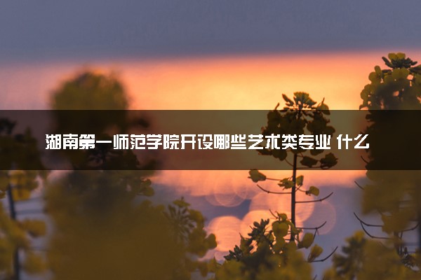 湖南第一师范学院开设哪些艺术类专业 什么专业前景好