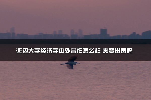 延边大学经济学中外合作怎么样 需要出国吗