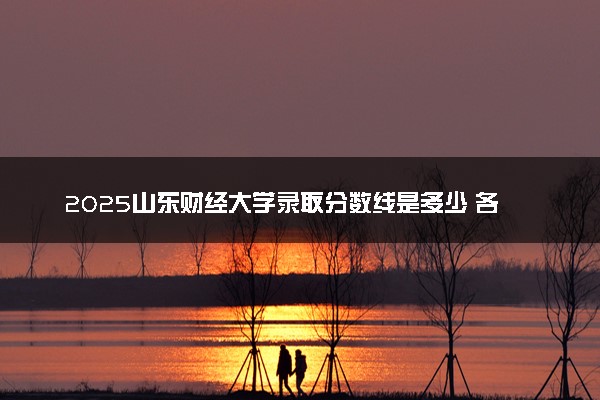 2025山东财经大学录取分数线是多少 各省最低分数线汇总