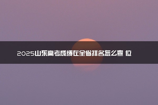 2025山东高考成绩在全省排名怎么查 位次查询方法