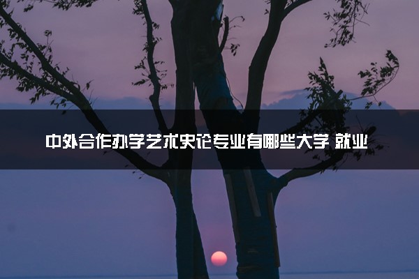 中外合作办学艺术史论专业有哪些大学 就业前景怎么样