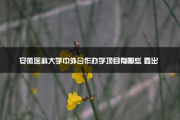 安徽医科大学中外合作办学项目有哪些 要出国吗