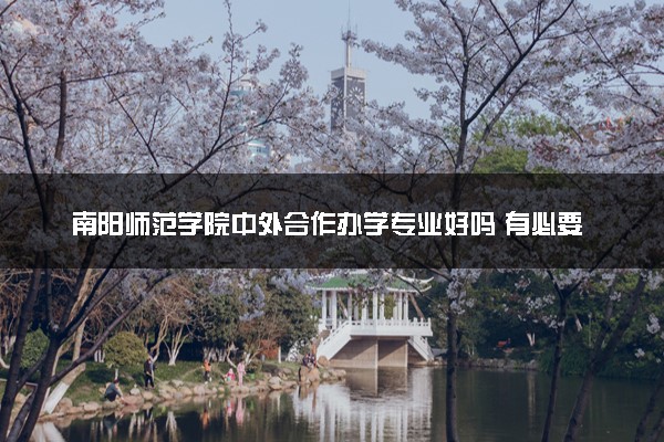 南阳师范学院中外合作办学专业好吗 有必要上吗