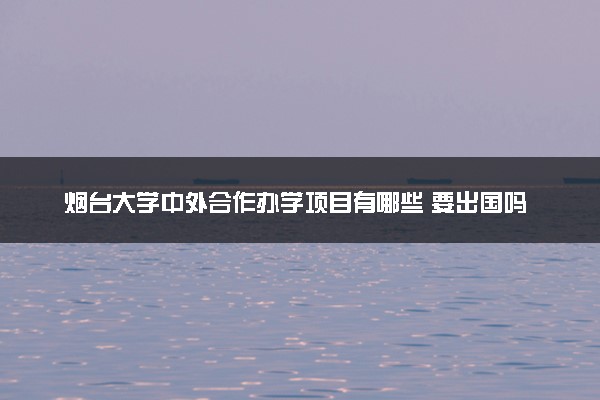 烟台大学中外合作办学项目有哪些 要出国吗