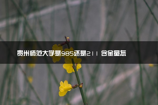 贵州师范大学是985还是211 含金量怎么样