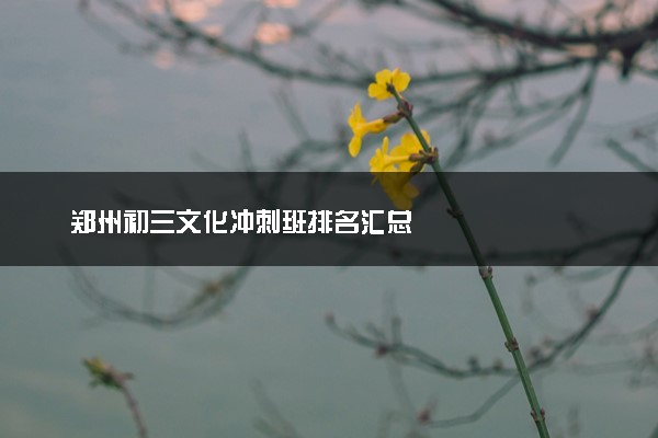 郑州初三文化冲刺班排名汇总