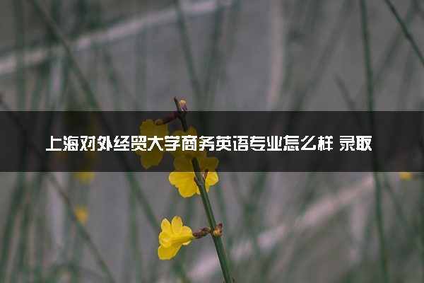 上海对外经贸大学商务英语专业怎么样 录取分数线多少