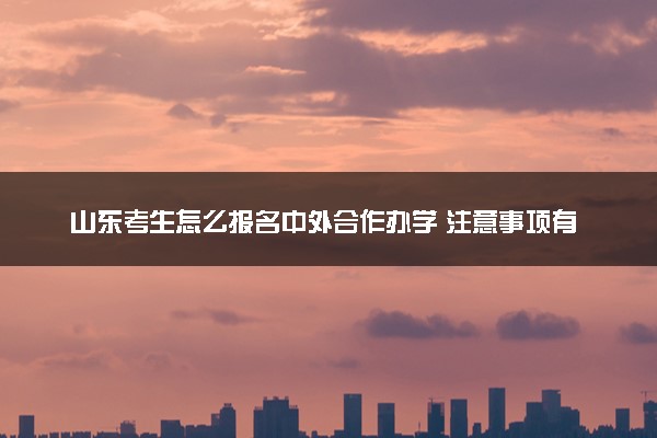 山东考生怎么报名中外合作办学 注意事项有哪些