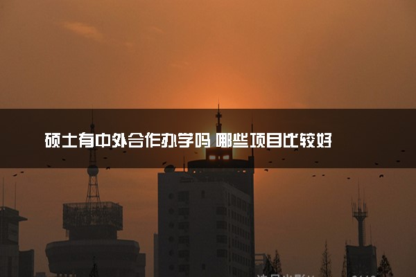 硕士有中外合作办学吗 哪些项目比较好