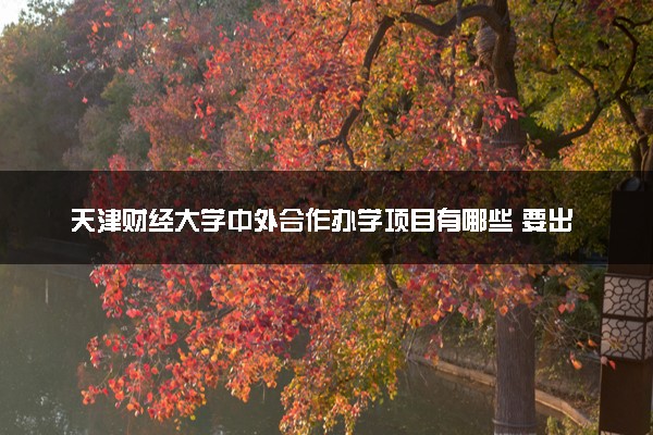 天津财经大学中外合作办学项目有哪些 要出国吗