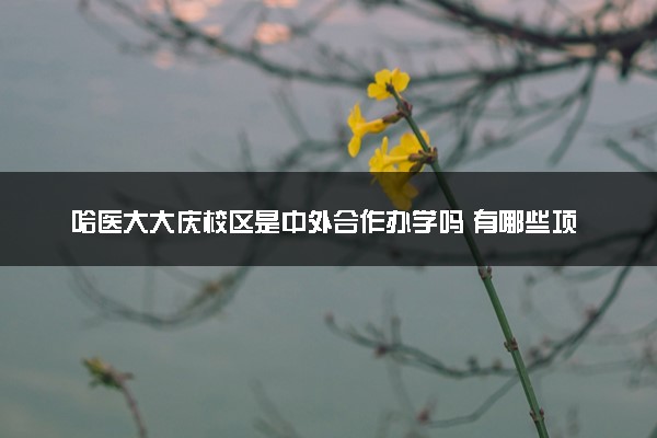 哈医大大庆校区是中外合作办学吗 有哪些项目