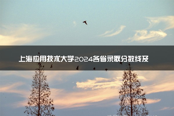 上海应用技术大学2024各省录取分数线及最低位次是多少