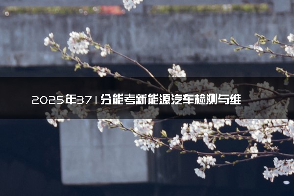 2025年371分能考新能源汽车检测与维修技术专业吗 371分新能源汽车检测与维修技术专业大学推荐