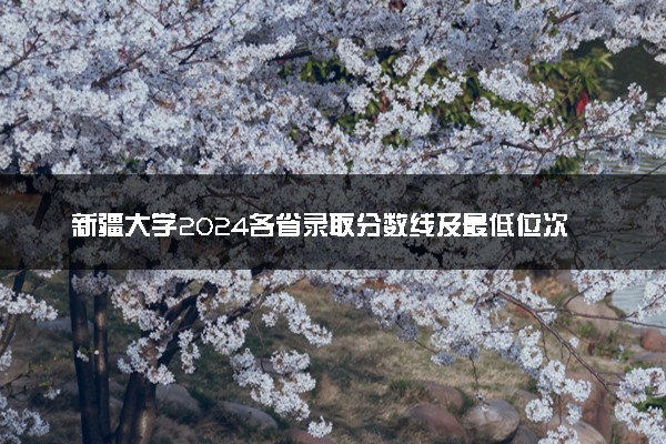 新疆大学2024各省录取分数线及最低位次是多少