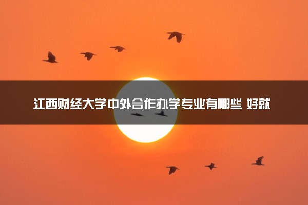 江西财经大学中外合作办学专业有哪些 好就业吗