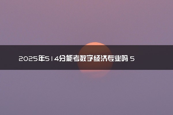 2025年514分能考数字经济专业吗 514分数字经济专业大学推荐