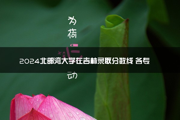 2024北部湾大学在吉林录取分数线 各专业分数及位次