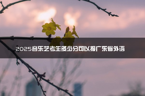 2025音乐艺考生多少分可以报广东省外语艺术职业学院