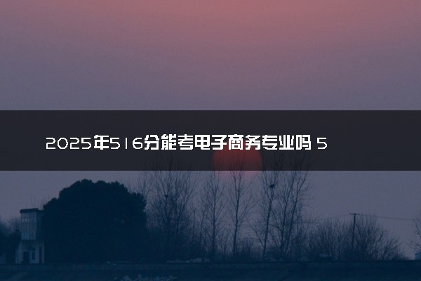 2025年516分能考电子商务专业吗 516分电子商务专业大学推荐