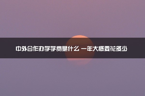 中外合作办学学费是什么 一年大概要花多少钱