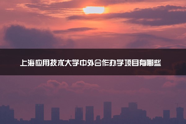 上海应用技术大学中外合作办学项目有哪些 要出国吗