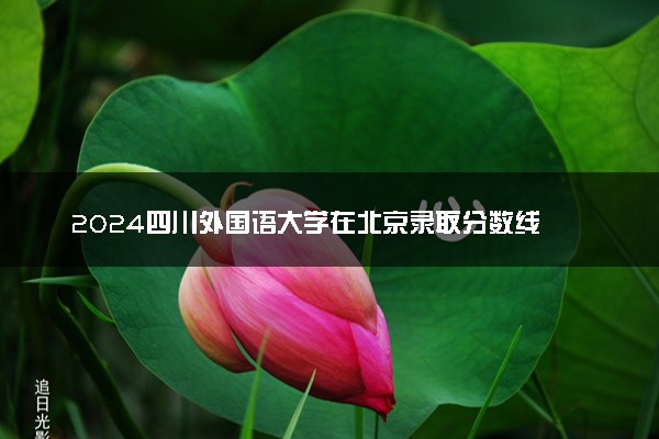 2024四川外国语大学在北京录取分数线 各专业分数及位次