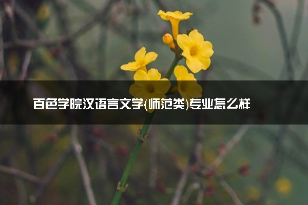 百色学院汉语言文学（师范类）专业怎么样 录取分数线多少