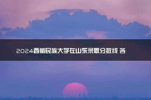 2024西藏民族大学在山东录取分数线 各专业分数及位次