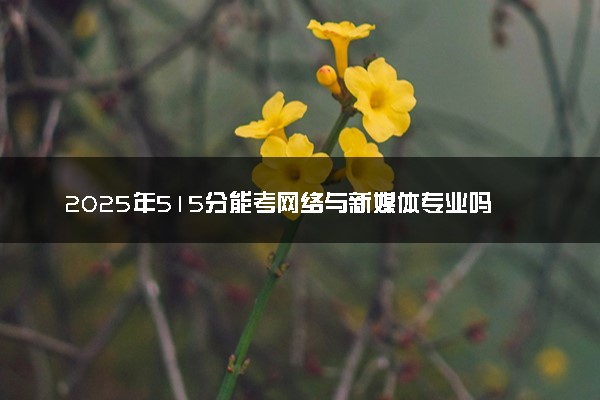 2025年515分能考网络与新媒体专业吗 515分网络与新媒体专业大学推荐